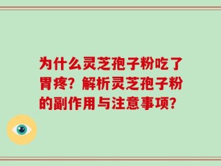 为什么灵芝孢子粉吃了胃疼？解析灵芝孢子粉的副作用与注意事项？