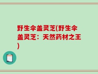 野生伞盖灵芝(野生伞盖灵芝：天然药材之王)