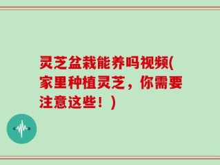 灵芝盆栽能养吗视频(家里种植灵芝，你需要注意这些！)