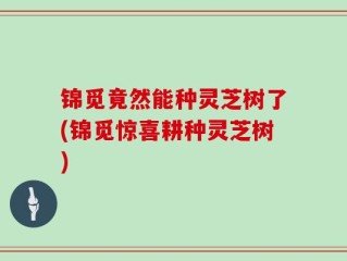 锦觅竟然能种灵芝树了(锦觅惊喜耕种灵芝树)