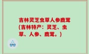 吉林灵芝虫草人参鹿茸(吉林特产：灵芝、虫草、人参、鹿茸。)