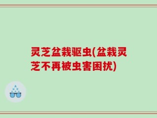 灵芝盆栽驱虫(盆栽灵芝不再被虫害困扰)