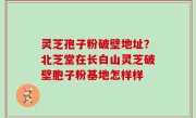 灵芝孢子粉破壁地址？北芝堂在长白山灵芝破壁胞子粉基地怎样样
