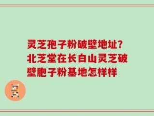 灵芝孢子粉破壁地址？北芝堂在长白山灵芝破壁胞子粉基地怎样样