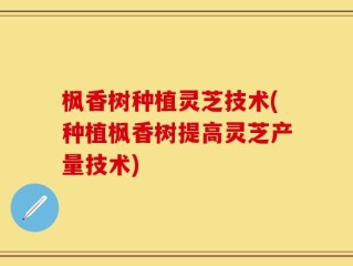 枫香树种植灵芝技术(种植枫香树提高灵芝产量技术)