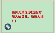 仙贝儿灵芝(灵芝配方加入仙贝儿，功效大增！)