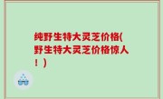 纯野生特大灵芝价格(野生特大灵芝价格惊人！)