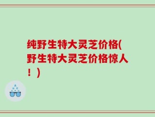 纯野生特大灵芝价格(野生特大灵芝价格惊人！)