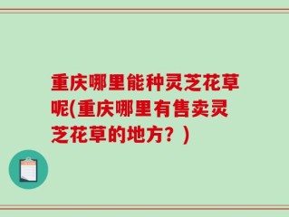 重庆哪里能种灵芝花草呢(重庆哪里有售卖灵芝花草的地方？)