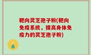 靶向灵芝孢子粉(靶向免疫系统，提高身体免疫力的灵芝孢子粉)