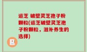 运芝 破壁灵芝孢子粉颗粒(运芝破壁灵芝孢子粉颗粒，滋补养生的选择)