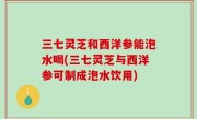 三七灵芝和西洋参能泡水喝(三七灵芝与西洋参可制成泡水饮用)