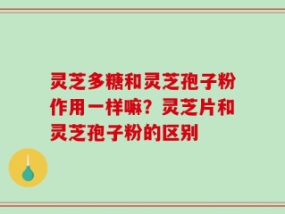 灵芝多糖和灵芝孢子粉作用一样嘛？灵芝片和灵芝孢子粉的区别