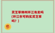 灵芝草柳州环江有卖吗(环江市可购买灵芝草吗？)