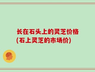 长在石头上的灵芝价格(石上灵芝的市场价)