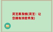 灵芝黑发根(灵芝：让您拥有浓密秀发)