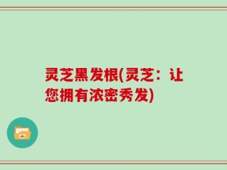 灵芝黑发根(灵芝：让您拥有浓密秀发)