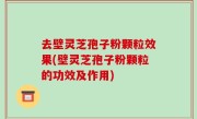 去壁灵芝孢子粉颗粒效果(壁灵芝孢子粉颗粒的功效及作用)