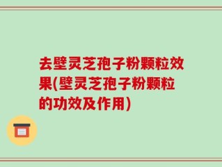 去壁灵芝孢子粉颗粒效果(壁灵芝孢子粉颗粒的功效及作用)