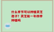 什么季节可以种植灵芝孢子？灵芝能一年四季种植吗