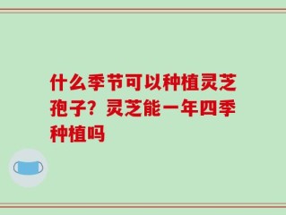什么季节可以种植灵芝孢子？灵芝能一年四季种植吗