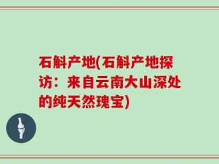 石斛产地(石斛产地探访：来自云南大山深处的纯天然瑰宝)