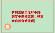 梦到去摘灵芝好不好(到梦中采摘灵芝，畅享大自然奇妙旅程)