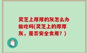 灵芝上厚厚的灰怎么办能吃吗(灵芝上的厚厚灰，是否安全食用？)
