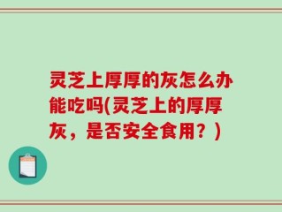 灵芝上厚厚的灰怎么办能吃吗(灵芝上的厚厚灰，是否安全食用？)