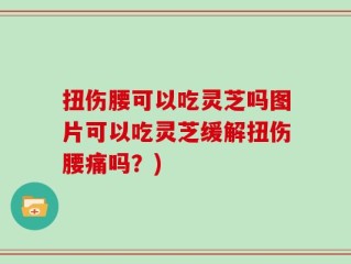 扭伤腰可以吃灵芝吗图片可以吃灵芝缓解扭伤腰痛吗？)