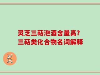 灵芝三萜泡酒含量高？三萜类化合物名词解释