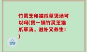 竹灵芝和猫爪草煲汤可以吗(煲一锅竹灵芝猫爪草汤，滋补又养生！)