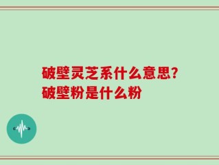 破壁灵芝系什么意思？破壁粉是什么粉
