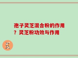 孢子灵芝混合粉的作用？灵芝粉功效与作用