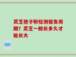 灵芝孢子粉检测报告周期？灵芝一般长多久才能长大
