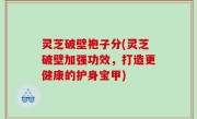 灵芝破壁袍子分(灵芝破壁加强功效，打造更健康的护身宝甲)