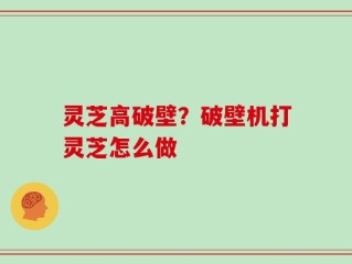 灵芝高破壁？破壁机打灵芝怎么做