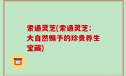 索通灵芝(索通灵芝：大自然赐予的珍贵养生宝藏)
