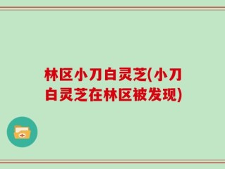 林区小刀白灵芝(小刀白灵芝在林区被发现)
