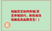 培植灵芝如何养殖(灵芝养殖技巧，助你成功培植出高品质灵芝！)