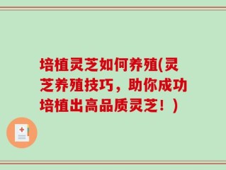 培植灵芝如何养殖(灵芝养殖技巧，助你成功培植出高品质灵芝！)