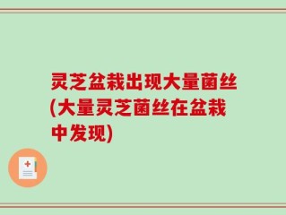 灵芝盆栽出现大量菌丝(大量灵芝菌丝在盆栽中发现)