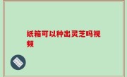 纸箱可以种出灵芝吗视频