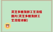 灵芝多糖发酵工艺流程图片(灵芝多糖发酵工艺流程详解)