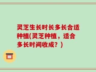 灵芝生长时长多长合适种植(灵芝种植，适合多长时间收成？)