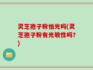 灵芝孢子粉怕光吗(灵芝孢子粉有光敏性吗？)