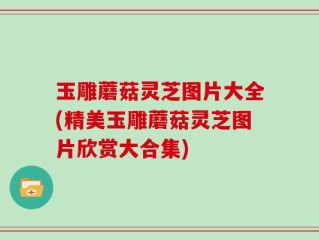 玉雕蘑菇灵芝图片大全(精美玉雕蘑菇灵芝图片欣赏大合集)