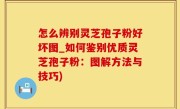 怎么辨别灵芝孢子粉好坏图_如何鉴别优质灵芝孢子粉：图解方法与技巧)
