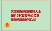 灵芝花胶鸡汤视频大全图片(丰富营养的灵芝花胶鸡汤制作汇总)