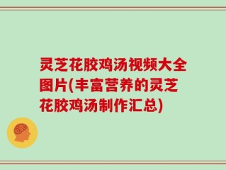 灵芝花胶鸡汤视频大全图片(丰富营养的灵芝花胶鸡汤制作汇总)